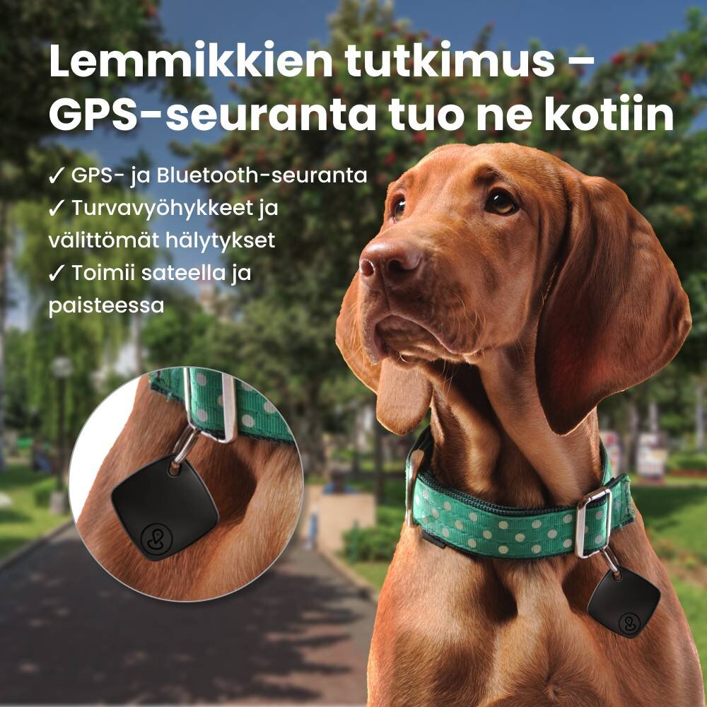 NooBark image
