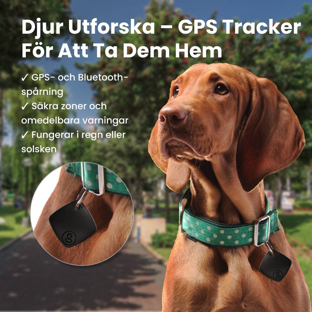 NooBark image