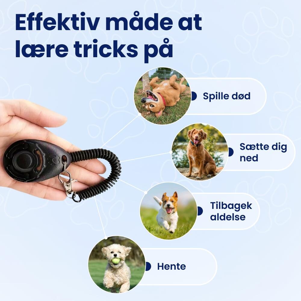 NooBark image